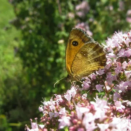 Nocleg ze śniadaniem D'hotes Le Peyroux Montcel (Puy-de-Dome)