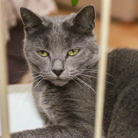 D'hotes Le Peyroux Nocleg ze śniadaniem Montcel (Puy-de-Dome)