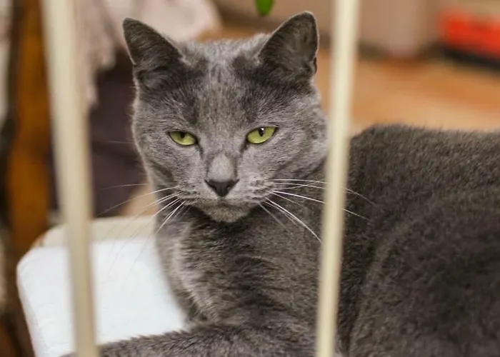 D'hotes Le Peyroux Bed & Breakfast Montcel (Puy-de-Dome)